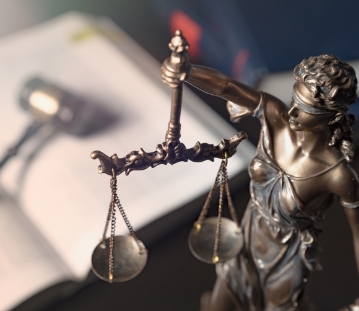 Appellate Litigation